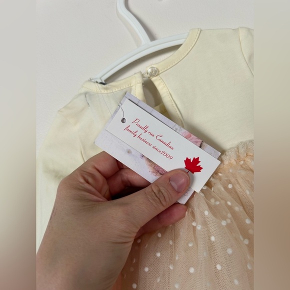 NWT Olivia Rose Indigobaby X Tulle Overlay Dress, 3-6 Months - Picture 5 of 8